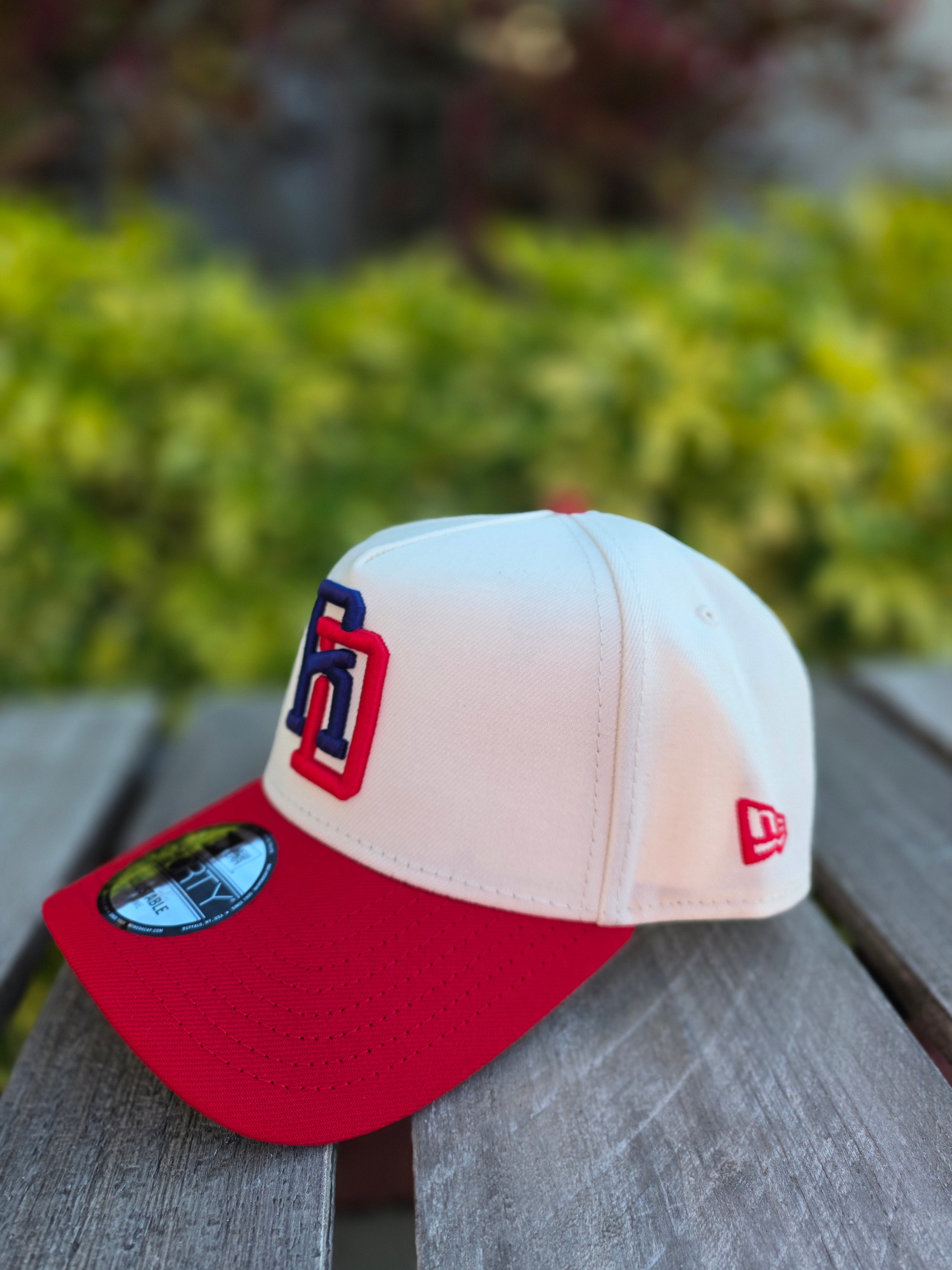 2026 WBC Dominican Republic Chrome Red 9FORTY A-Frame