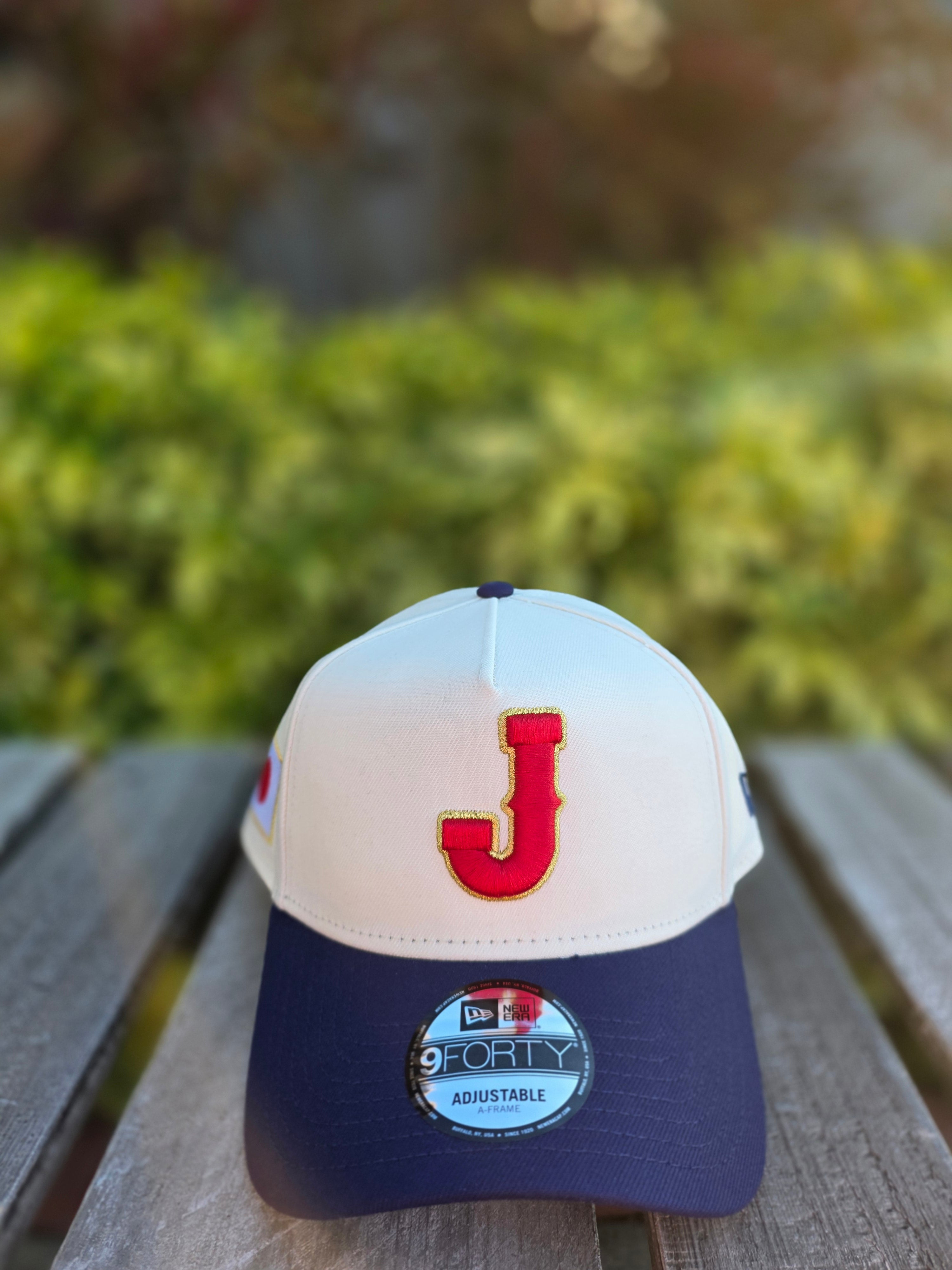 2026 WBC Japan Chrome Blue 9FORTY A-Frame