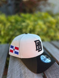 2026 WBC Dominican Republic Chrome Black 9FORTY A-Frame