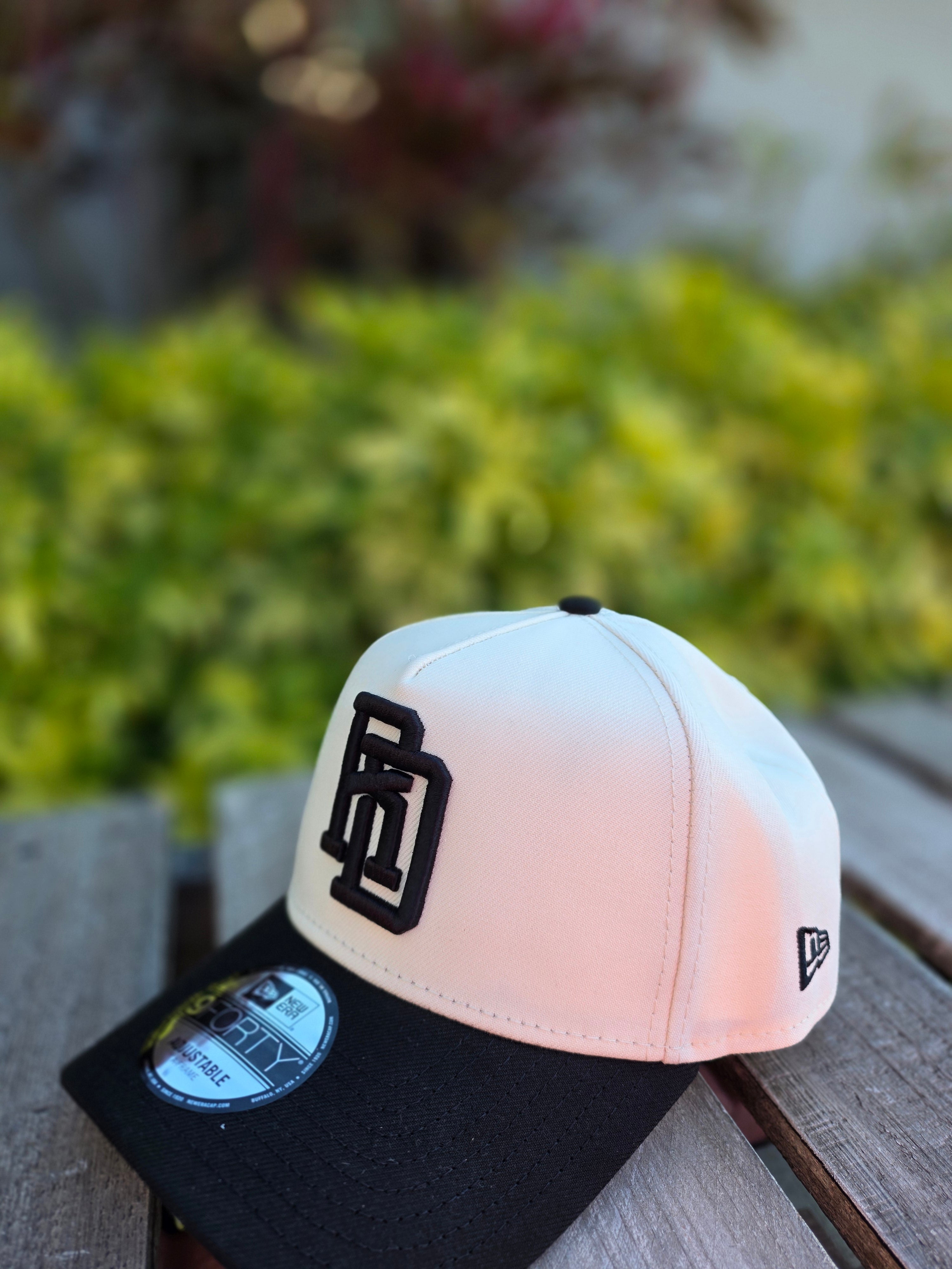 2026 WBC Dominican Republic Chrome Black 9FORTY A-Frame