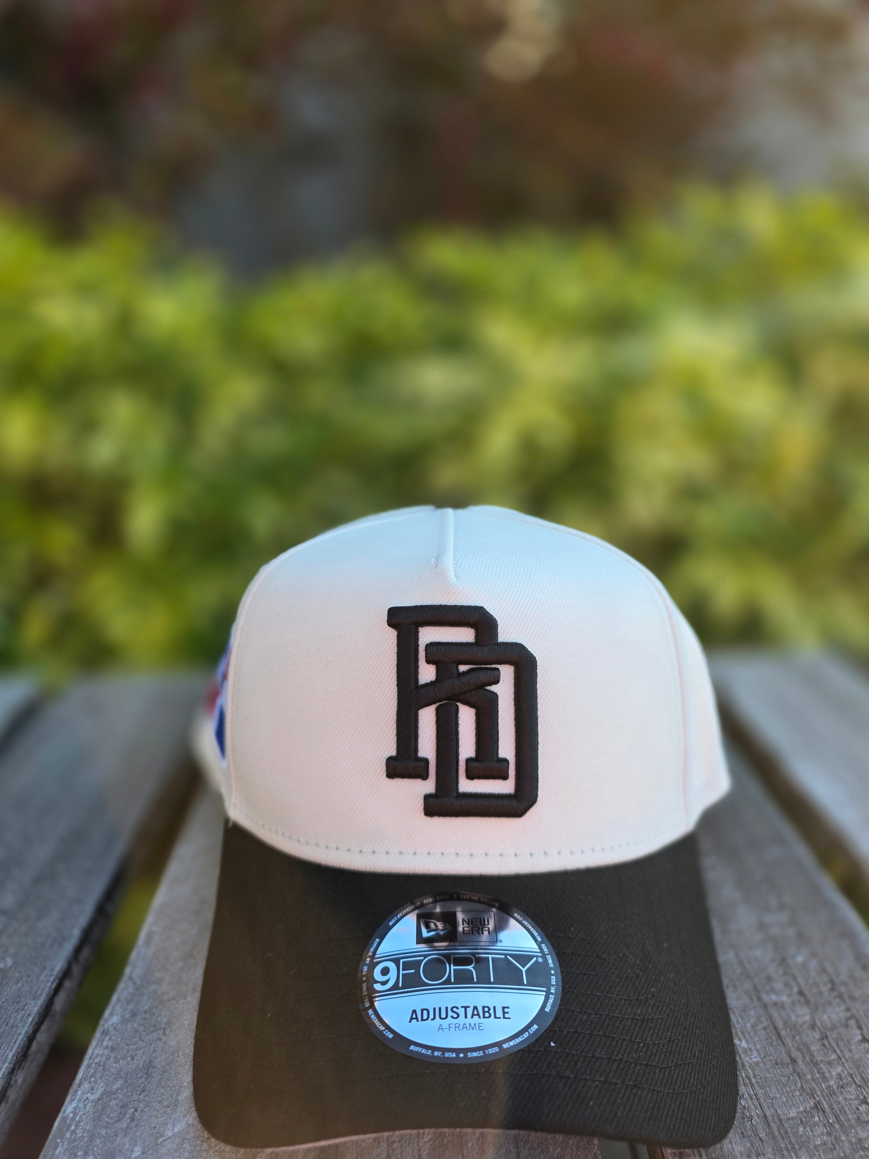 2026 WBC Dominican Republic Chrome Black 9FORTY A-Frame