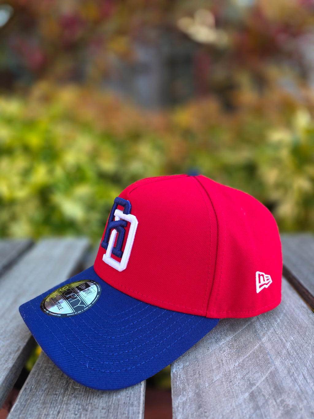 2026 WBC Dominican Republic 9FORTY Adjustable A-Frame