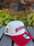 2026 WBC Mexico Wordmark Chrome 9FORTY A-Frame