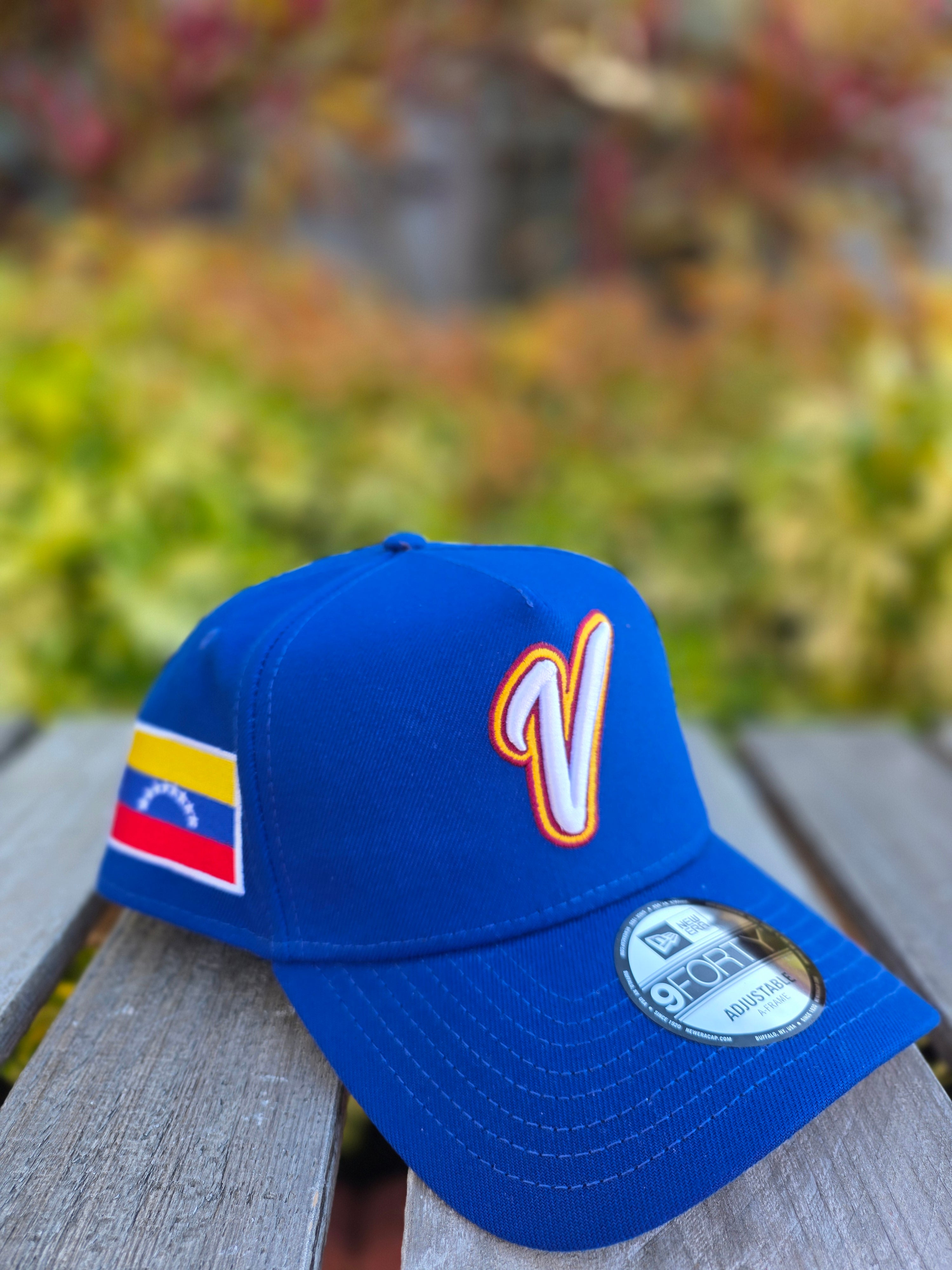 2026 WBC Venezuela Blue 9FORTY A-Frame