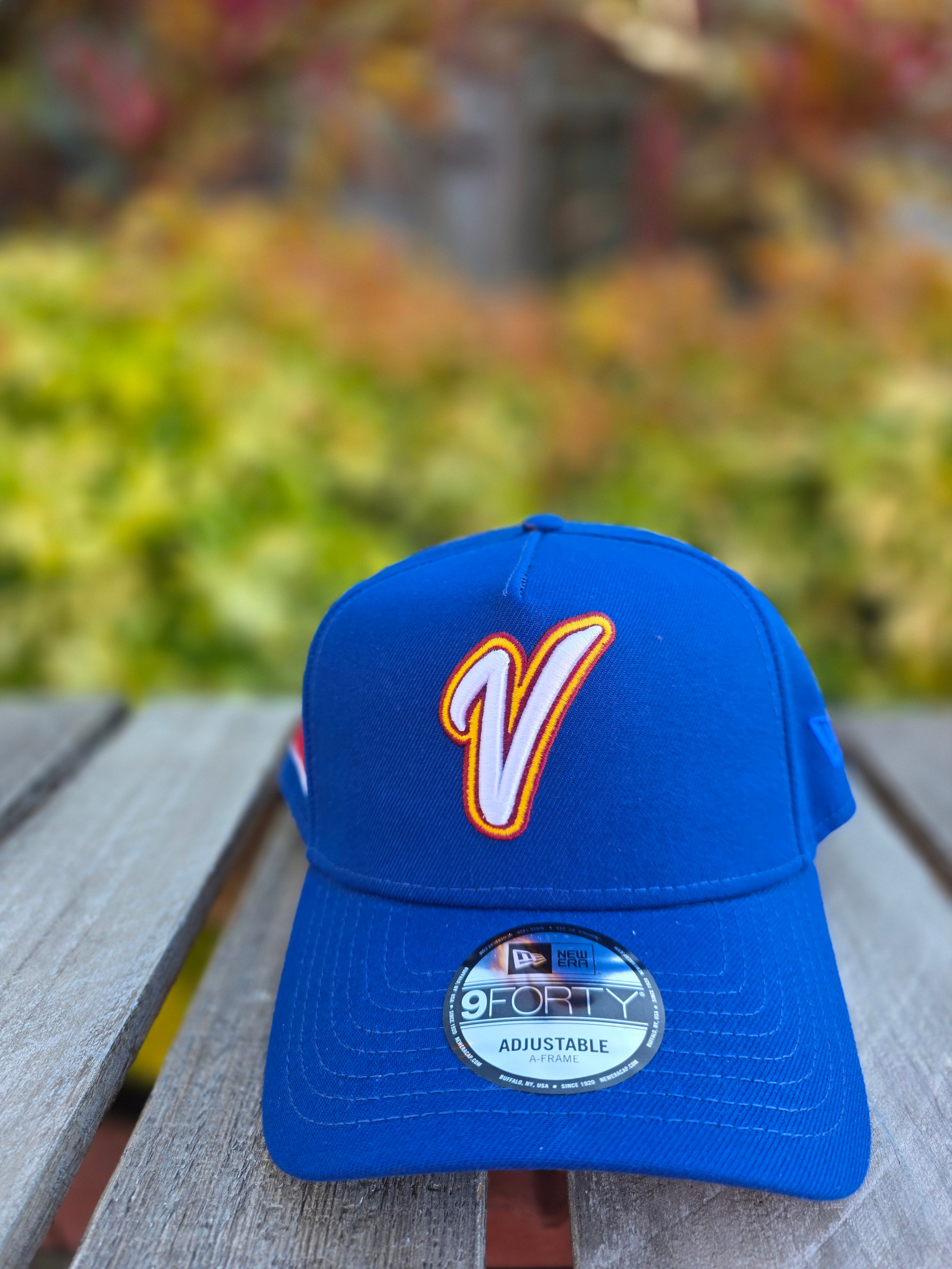 2026 WBC Venezuela Blue 9FORTY A-Frame