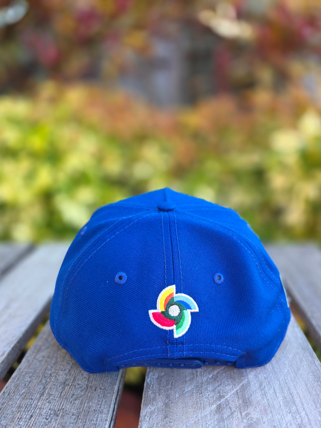 2026 WBC Venezuela Blue 9FORTY A-Frame