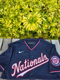 Men's Washington Nationals Nike Navy Alternate Limited Jersey