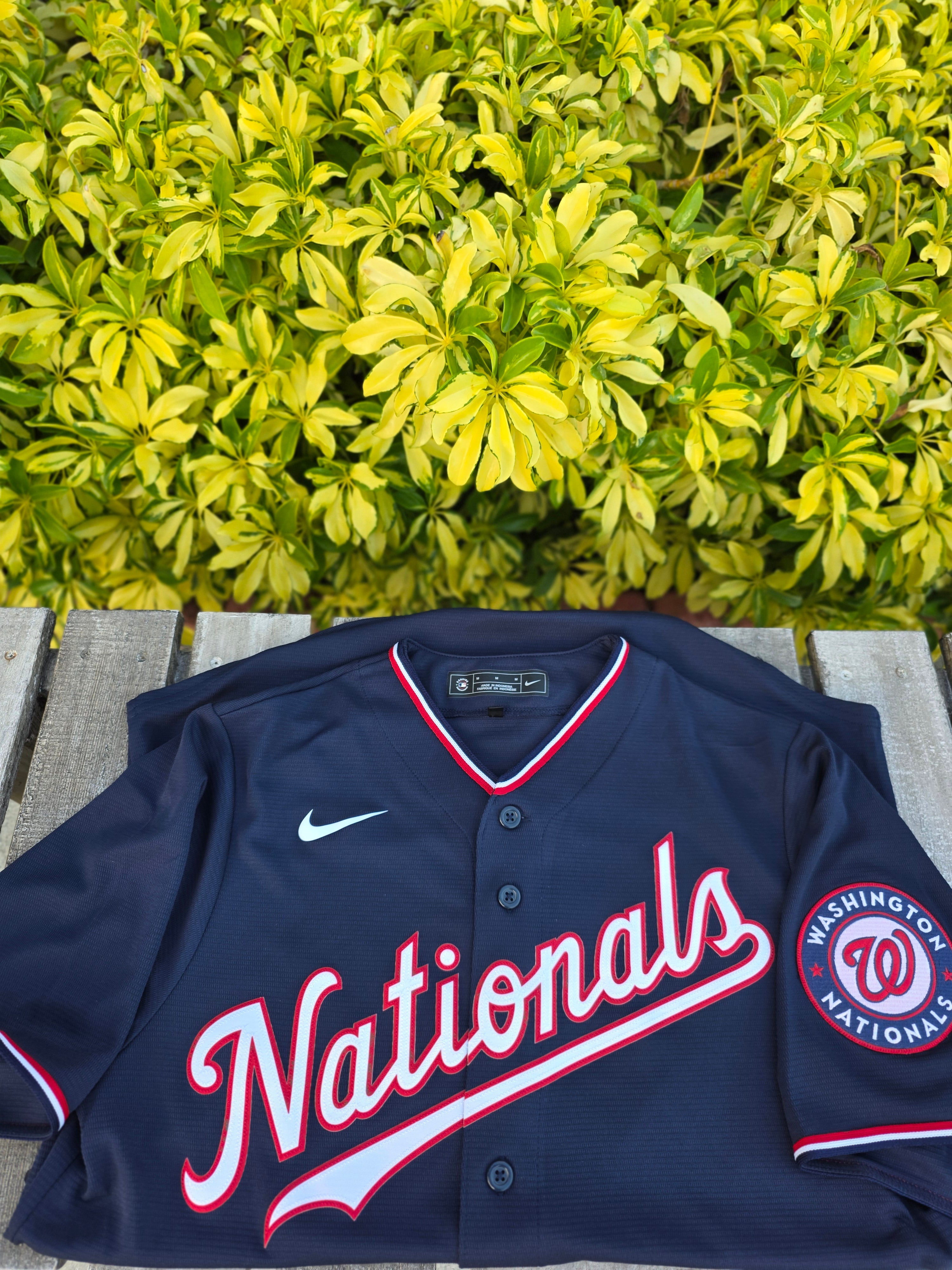 Men's Washington Nationals Nike Navy Alternate Limited Jersey