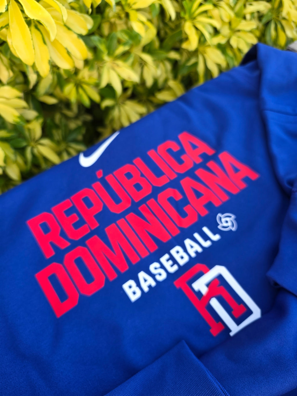 2026 WBC Men's Therma Pullover Hoodie Dominican Republic Baseball Team