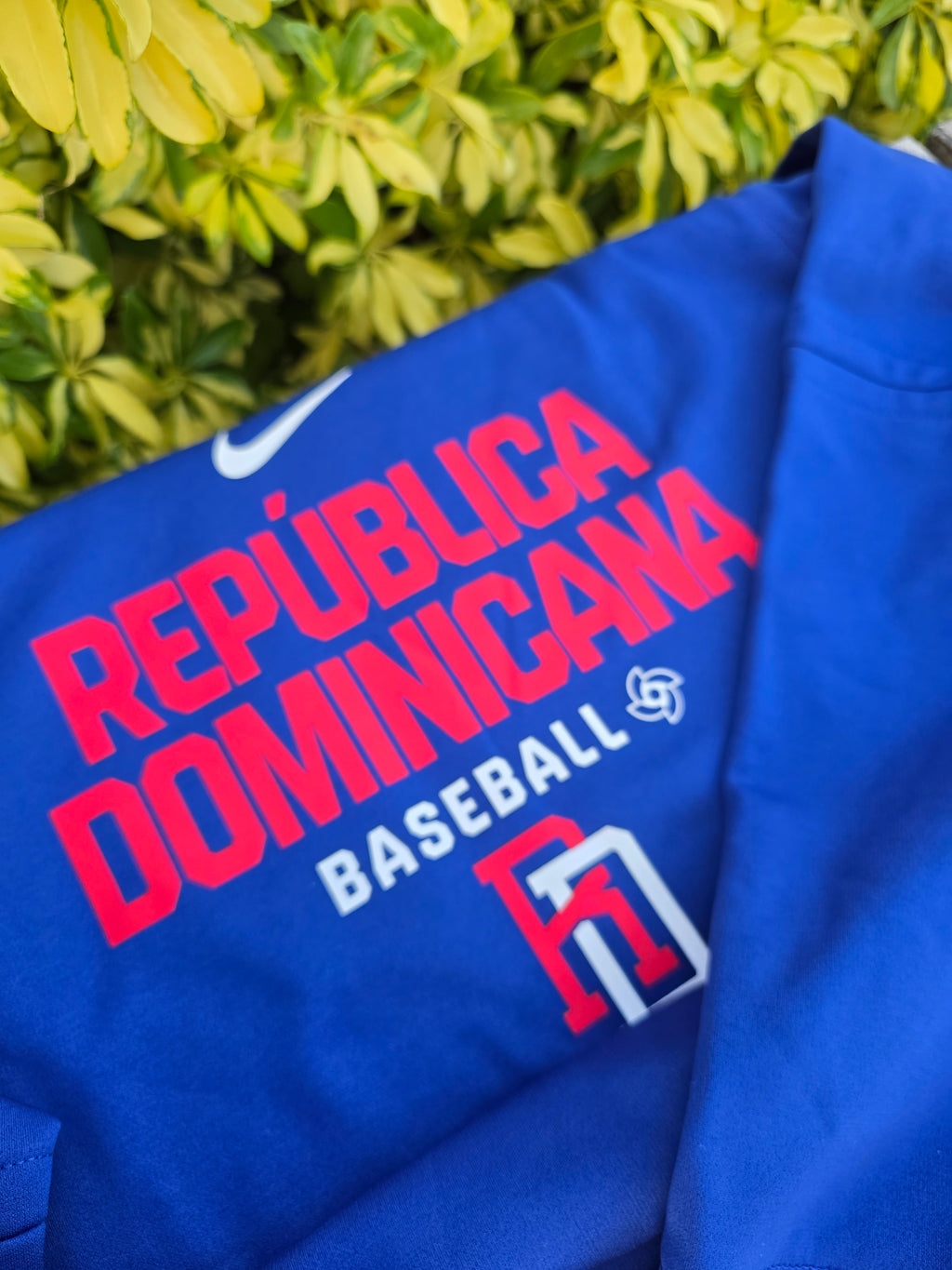 2026 WBC Men's Therma Pullover Hoodie Dominican Republic Baseball Team